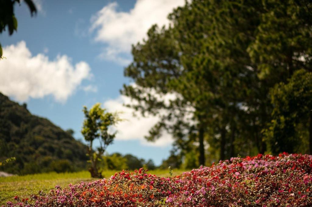 Sam Tuyen Lam Resort Đà Lạt Extérieur photo